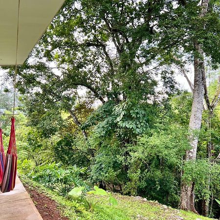 Vila Finca Makai, Rodeado De Naturaleza, 10Min A Montezuma Exteriér fotografie