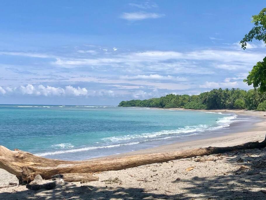 Vila Finca Makai, Rodeado De Naturaleza, 10Min A Montezuma Exteriér fotografie