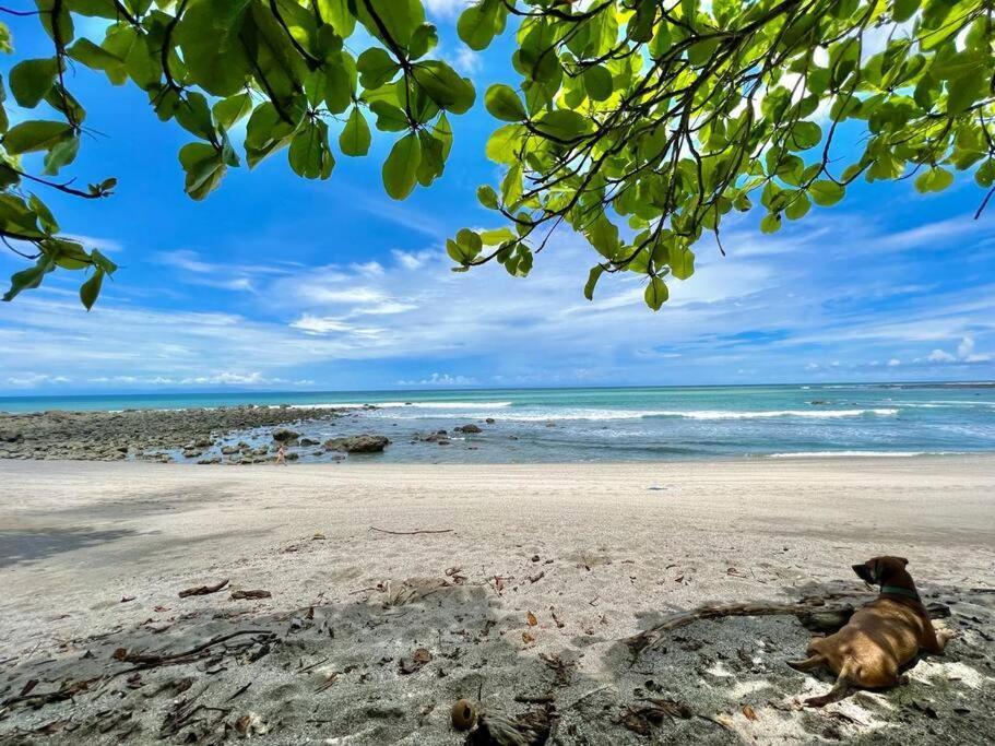 Vila Finca Makai, Rodeado De Naturaleza, 10Min A Montezuma Exteriér fotografie